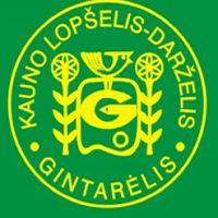 gintarelis_200x200_logo