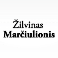 zilvinas